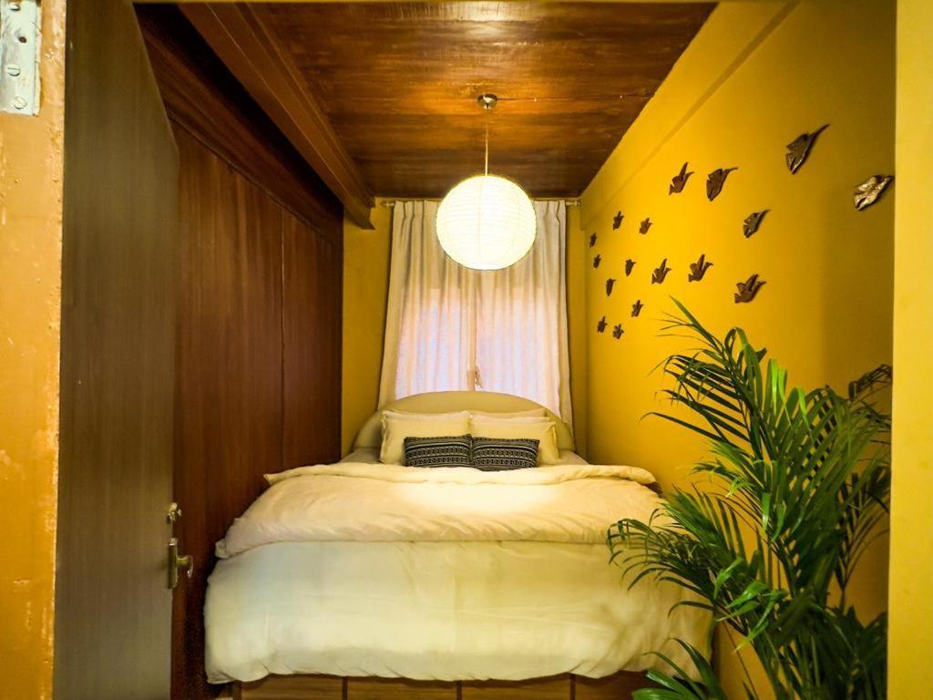 Appartement The Melo Pomelo Courtyard. à Katmandou Extérieur photo